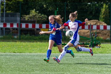 Bild 174 - B-Juniorinnen SV Henstedt Ulzburg - FSC Kaltenkirchen : Ergebnis: 3:2